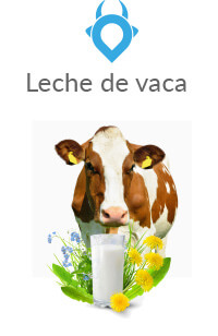 Leche de vaca